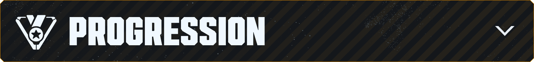 v043_Branded-Asset_850x100_FR_Progression.png