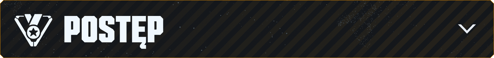 v043_Branded-Asset_850x100_PL_Progression.png