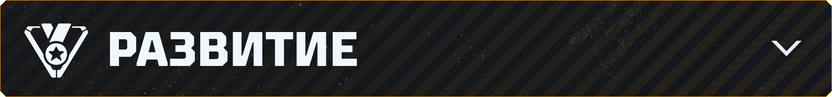 v043_Branded-Asset_850x100_RU_Progression.png